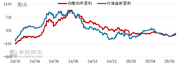 玉米 (4).png
