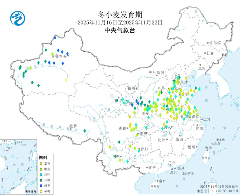 261764143244499155.png 小麦 (1).png