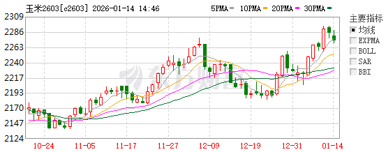 261769415413457354.png 玉米 (2).png