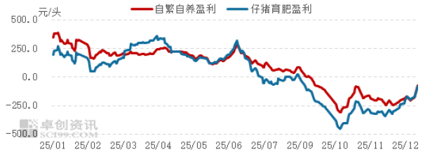 261769415432469439.png 玉米 (4).png