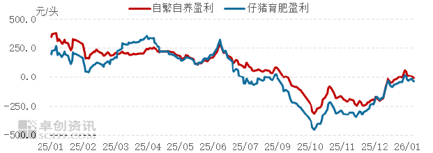 141771051554622932.png 玉米 (4).png